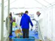 South Carolina Association of Veterinarians Awarded Disaster...